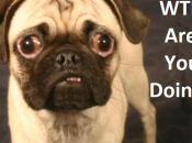 When Your Fat-Shaming Meme Flop