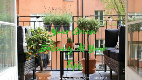 Beautiful Balcony and PLants