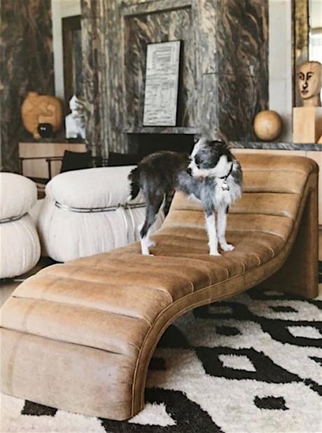 At Home With Dogs And Their Designers