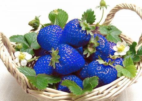 Make Your Garden A Beautiful Sight With Special Garden Seeds blue strawberry seeds