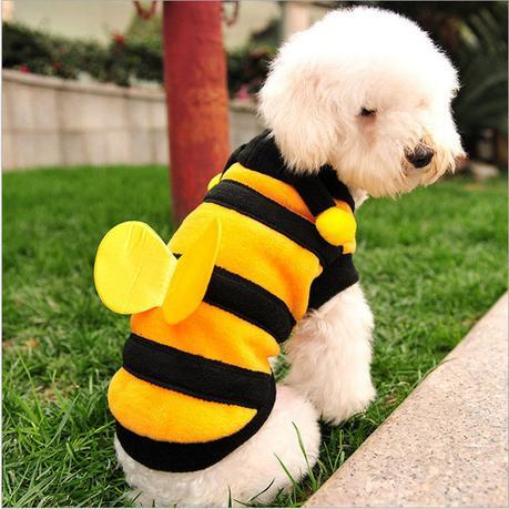 A List of Interesting Finds in NewChic Fashion Week interesting finds