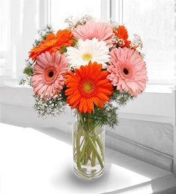 Send Flowers Internationally With Lola Flora