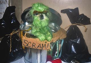 Image: Oscar the Grouch Dog Costume, by Petful / petful.com on Flickr
