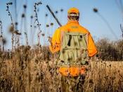 Causes, Effects Solutions Overhunting