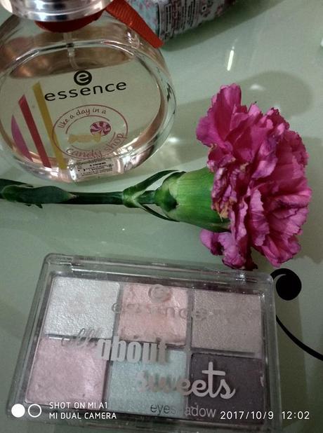 Essence Makeup Brand Review and First Impressions