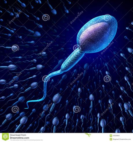 Difference between low sperm count and low sperm motility