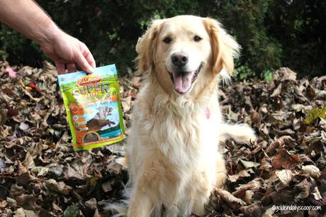 nutritious and soft superfood dog treats 