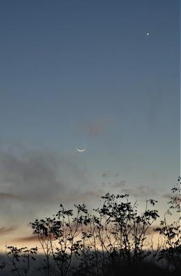 The New Moon and the Morning Star
