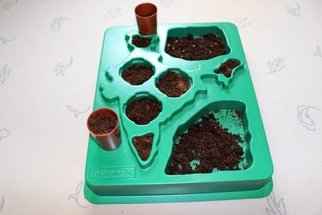 Garden Sciencz – The Perfect Gift to Kids on Any Occasion