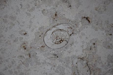 Infinity in the Palm of Your Hand And Eternity in an Hour: @R_Siddall Leads the Next #UrbanGeology Walk on Saturday