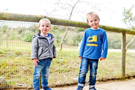 The Boys In October 2017 -  Little Darlings, High Pitched Screams & Sibling Squabbles