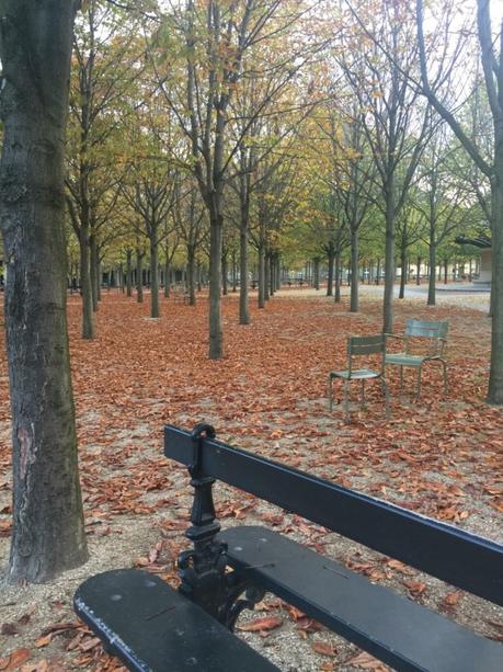 Autumn leaves in the Jardin du Luxembourg, Paris.