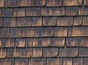 Advantages Cedar Roof