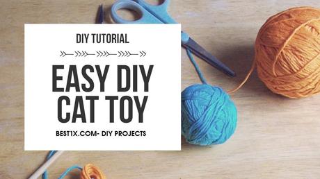 How to create a DIY Snake Toy for Cats – A DIY Project using home items