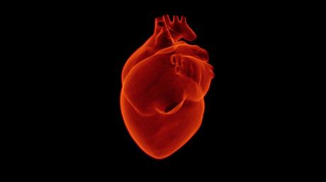 5 Lifestyle Tips to Take to Heart for World Heart Day