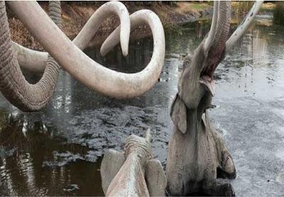 Discover History Captured By Time At The La Brea Tar Pits