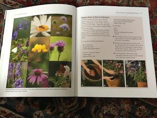 Book Review - the wildlife gardener by Kate Bradbury