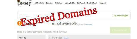 Domain Hunter Gatherer Review: Should You Buy This Software ??