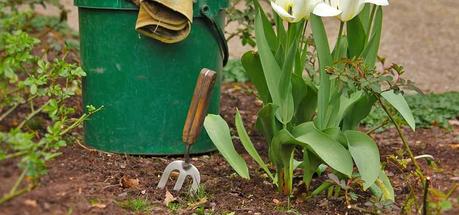 compost mulching