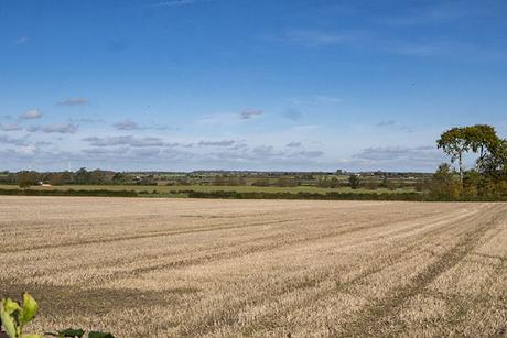 Stubble Fields