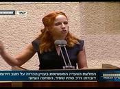 Stav Shafir's Pickle Speech Response