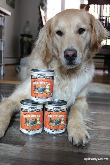 Merrick Seasonals Canned grain free dog food