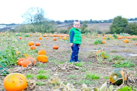 An Autumn Trip to the Pumpkin Patch