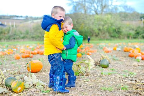 pick your own pumpkin patch, pop up farm st albans, pop up farm pumpkins st albans, pumpkin picking, pumpkin patch,
