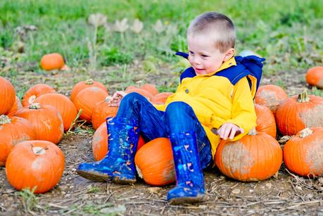 pick your own pumpkin patch, pop up farm st albans, pop up farm pumpkins st albans, pumpkin picking, pumpkin patch,