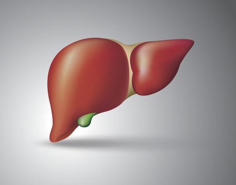 US experts raise red flag over fatty liver disease