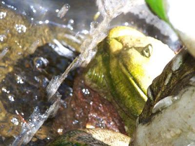 Incomparable Treasure Holy Scriptures