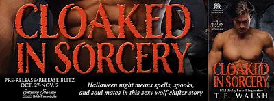 Cloaked in Sorcery by TF Walsh @ejbookpromos @tfwalsh