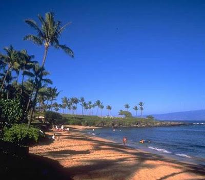 Crown Cruise Vacations Helps Travelers Plan A Magicial Hawaii At Disney's Aulani Resort