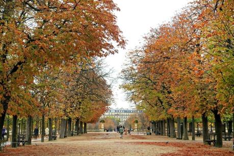 Autumn colors in Jardin du Luxembourg, Paris. Details at une femme d'un certain age.