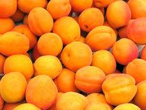 4 Health Benefits of Dried Apricot Fruit