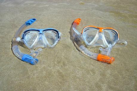 Essential Gear for a Family Diving Holiday