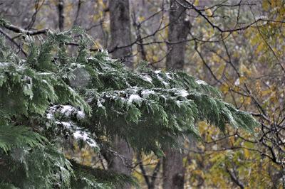 And There Was Snow -- or Maybe Snee