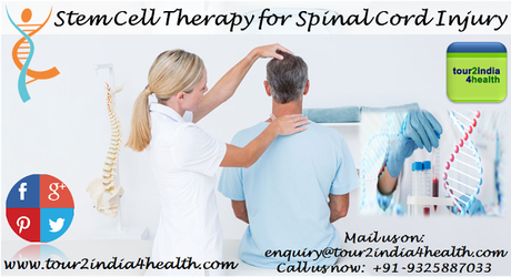 Stem Cell Therapy for Spinal Cord Injury