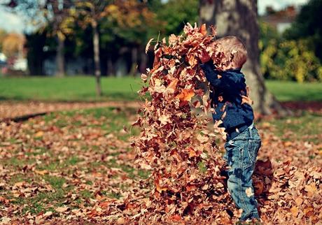 Top 5 Tips For Keeping Your House Clean in the Fall