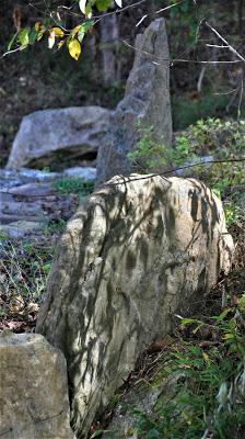 Miss Birdie in the Graveyard -- Born Again