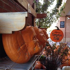 All Hallows Eve