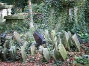 #HappyHalloween Wander Abney Park Cemetery