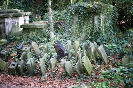 #HappyHalloween – A Wander in Abney Park Cemetery