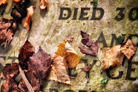 #HappyHalloween – A Wander in Abney Park Cemetery
