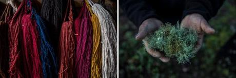 The Beauty of Natural Dyes