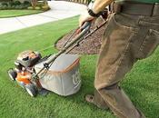 Things Maintain Your Lawn Mower Condition
