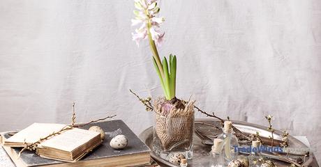 Easter interior with Hyacinth flower, old books and quail eggs. See series
