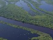 Discover Paradise Pantanal Your Brazil Tour