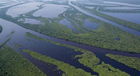 Discover Paradise in Pantanal on your Brazil Tour