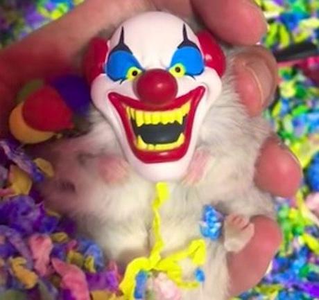 screen-shot-2017-11-05-at-12-53-22-pm